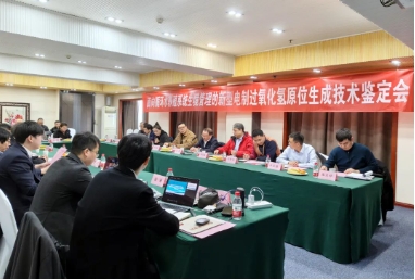 國(guó)際先進(jìn)！雙良環(huán)境這項(xiàng)首創(chuàng)技術(shù)通過(guò)專(zhuān)家權(quán)威鑒定